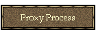 Proxy Process